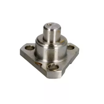 Pivot de fusée d'essieu S-TR STR-15A022