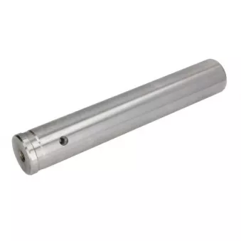 Pivot de fusée d'essieu S-TR STR-15A035