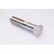 Vis de roue S-TR STR-40006 - Visuel 2