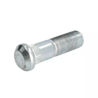 Écrou de roue S-TR STR-40032