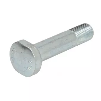 Vis de roue S-TR STR-40034