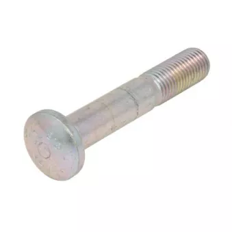Vis de roue S-TR STR-40036