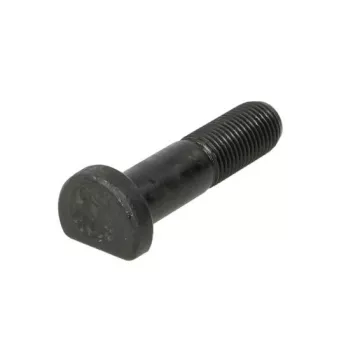 Boulon de roue S-TR STR-40317