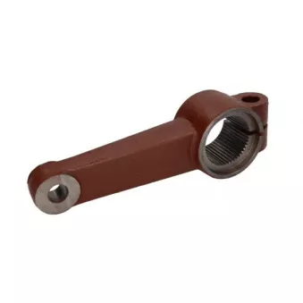 Pivot de fusée d'essieu S-TR STR-80A02