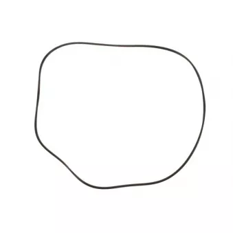 Piston, étrier de frein SBP 12-AG031