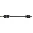 Arbre de transmission arrière droit POINT GEAR PNG75706 - Visuel 1
