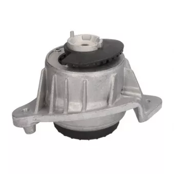 Support moteur REINHOCH RH11-3121