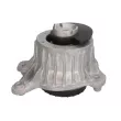 Support moteur REINHOCH RH11-3125 - Visuel 1