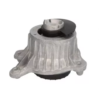 Support moteur REINHOCH RH11-3125