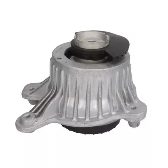 Support moteur REINHOCH RH11-3133