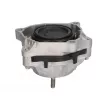 Support moteur REINHOCH RH11-3134 - Visuel 2