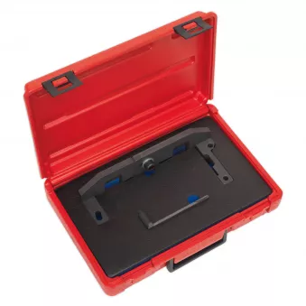 Piges de calage moteur SEALEY VSE5092