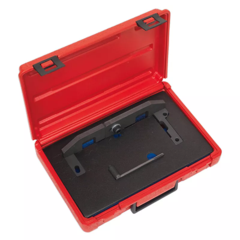 Piges de calage moteur SEALEY VSE5092