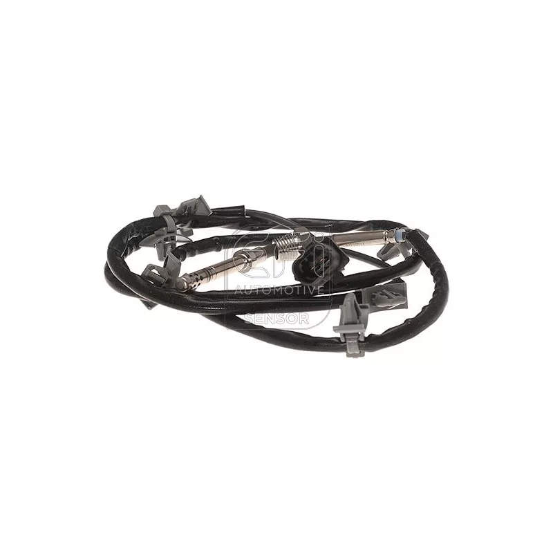 Capteur, température des gaz EFI AUTOMOTIVE 1473107