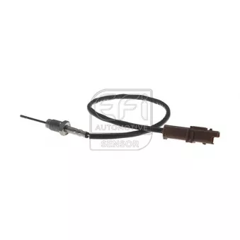 Capteur, température des gaz EFI AUTOMOTIVE 1473113