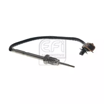 Capteur, température des gaz EFI AUTOMOTIVE 1473127