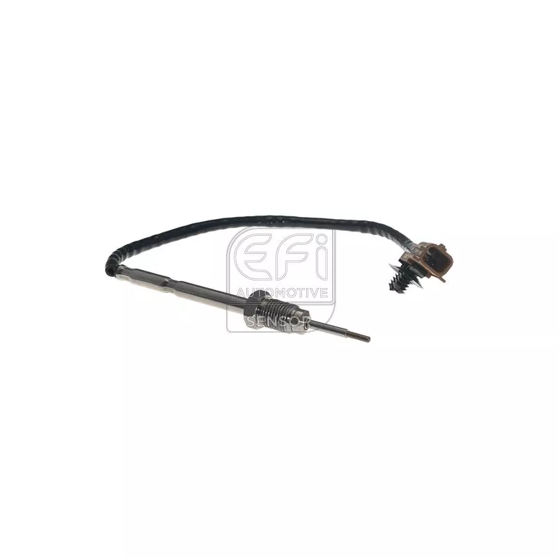 Capteur, température des gaz EFI AUTOMOTIVE 1473127
