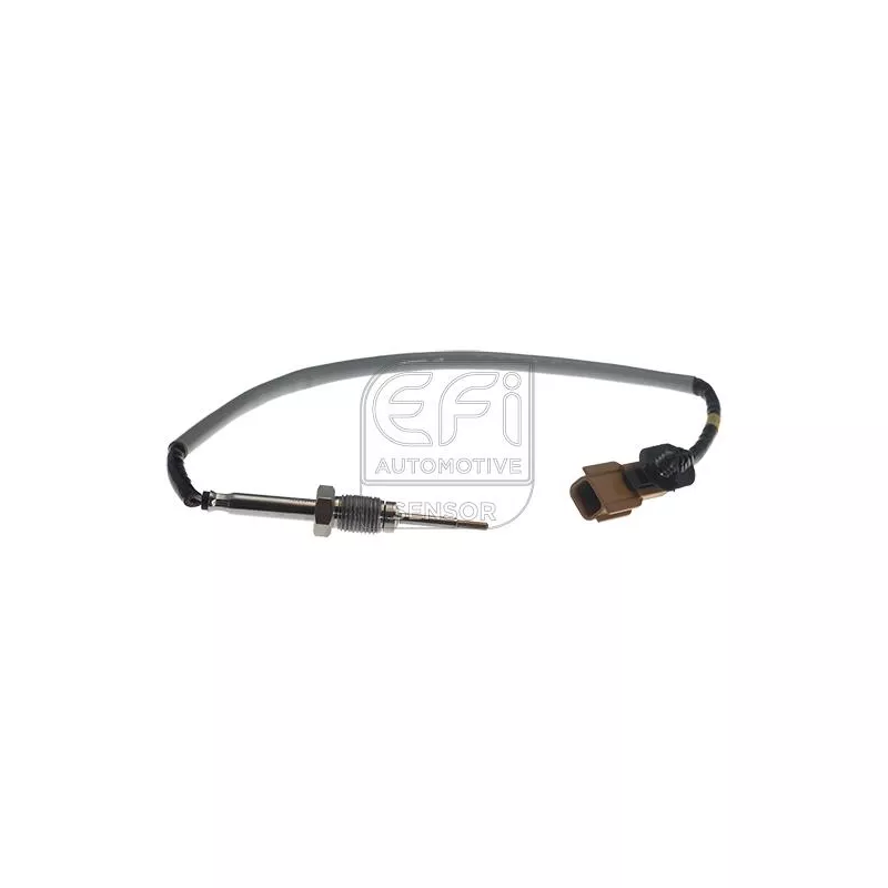 Capteur, température des gaz EFI AUTOMOTIVE 1473134