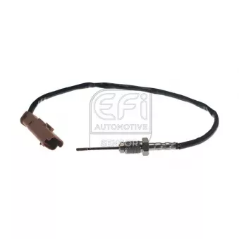 Capteur, température des gaz EFI AUTOMOTIVE 1473137