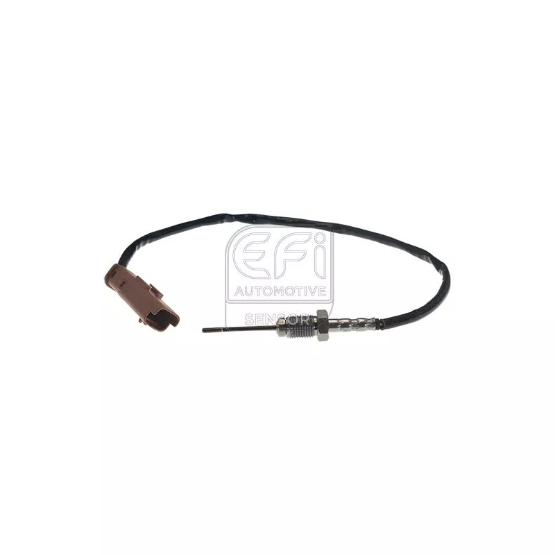 Capteur, température des gaz EFI AUTOMOTIVE 1473137
