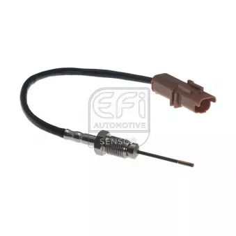 Capteur, température des gaz EFI AUTOMOTIVE 1473144