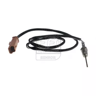 Capteur, température des gaz EFI AUTOMOTIVE
