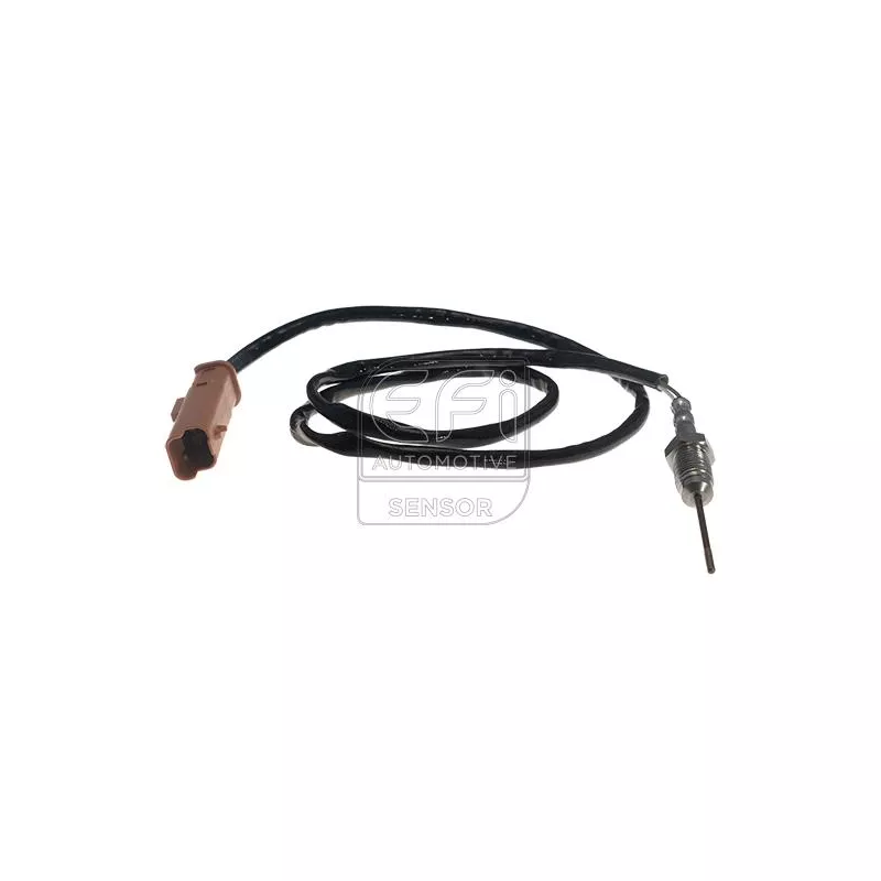 Capteur, température des gaz EFI AUTOMOTIVE 1473145
