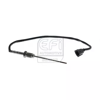 Capteur, température des gaz EFI AUTOMOTIVE 1473152