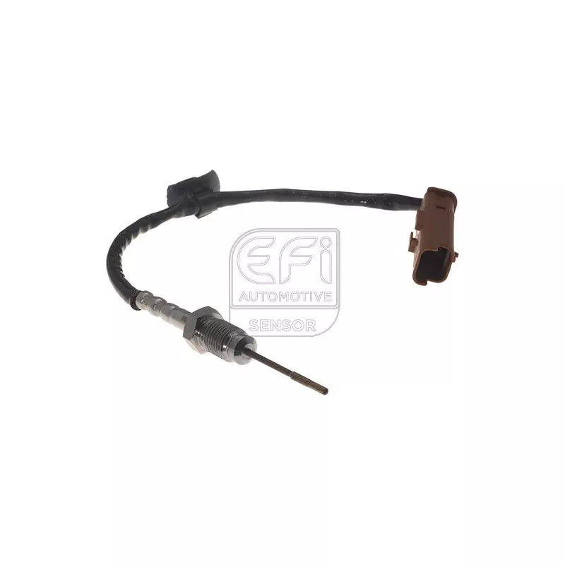 Capteur, température des gaz EFI AUTOMOTIVE 1473156