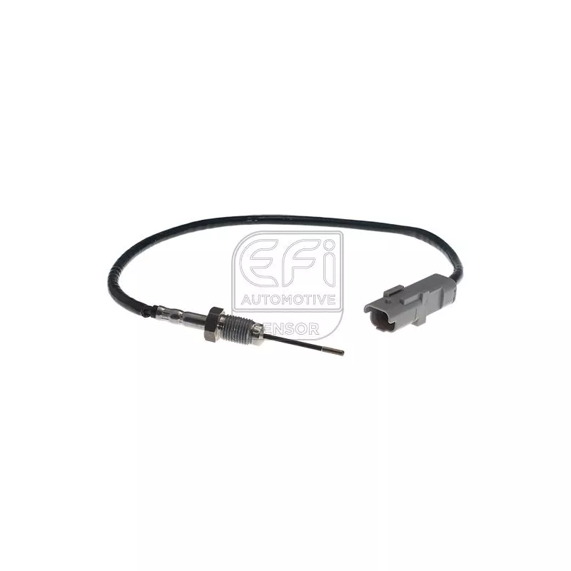 Capteur, température des gaz EFI AUTOMOTIVE 1473157