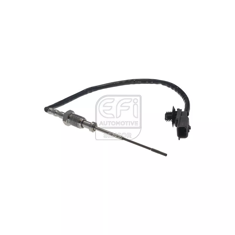 Capteur, température des gaz EFI AUTOMOTIVE 1473161