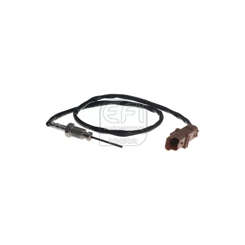 Capteur, température des gaz EFI AUTOMOTIVE 1473163