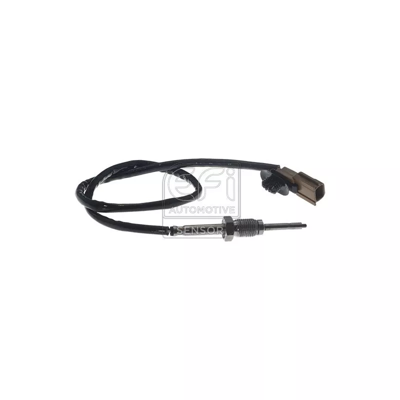 Capteur, température des gaz EFI AUTOMOTIVE 1473181