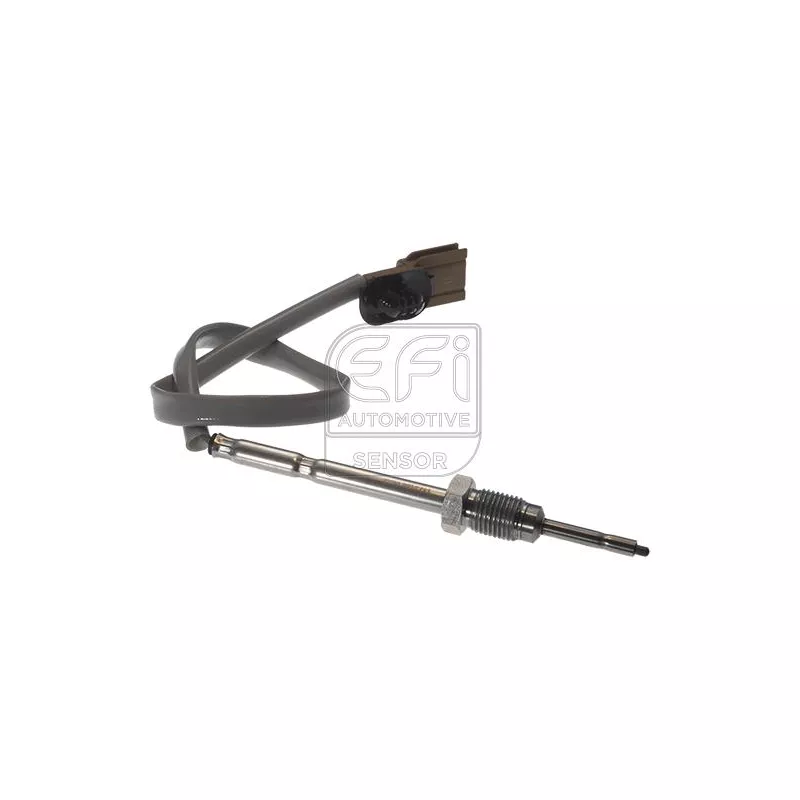 Capteur, température des gaz EFI AUTOMOTIVE 1473186