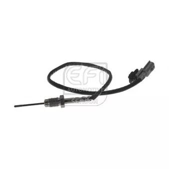 Capteur, température des gaz EFI AUTOMOTIVE 1473201
