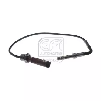 Capteur, température des gaz EFI AUTOMOTIVE 1473210