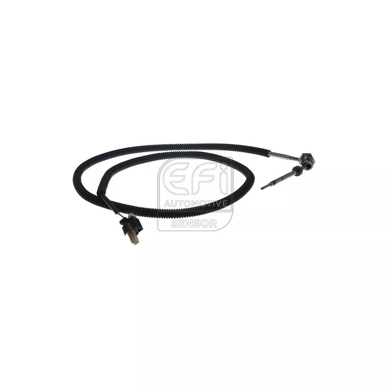 Capteur, température des gaz EFI AUTOMOTIVE 1473223