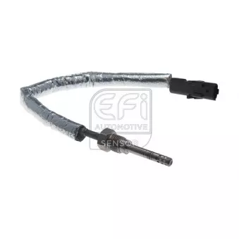 Capteur, température des gaz EFI AUTOMOTIVE 1473235