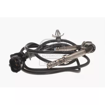 Capteur, température des gaz EFI AUTOMOTIVE 1473999