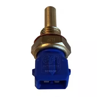 Sonde de température, liquide de refroidissement EFI AUTOMOTIVE 295001