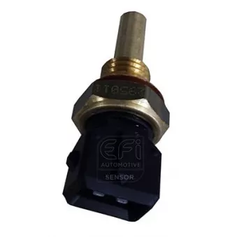Sonde de température, liquide de refroidissement EFI AUTOMOTIVE 295011
