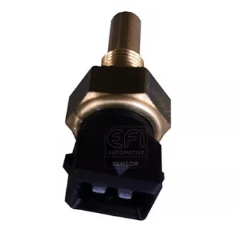 Capteur, température d'huile EFI AUTOMOTIVE 295017