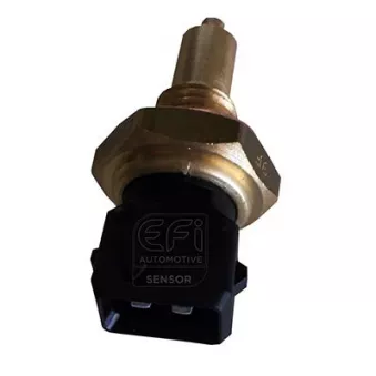 Capteur, température d'huile EFI AUTOMOTIVE 295019
