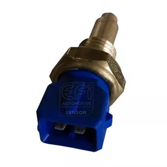 Sonde de température, liquide de refroidissement EFI AUTOMOTIVE 295038