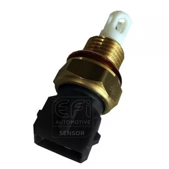 Capteur, température de l'air d'admission EFI AUTOMOTIVE