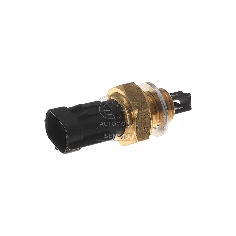 Capteur, température de l'air d'admission EFI AUTOMOTIVE 295048