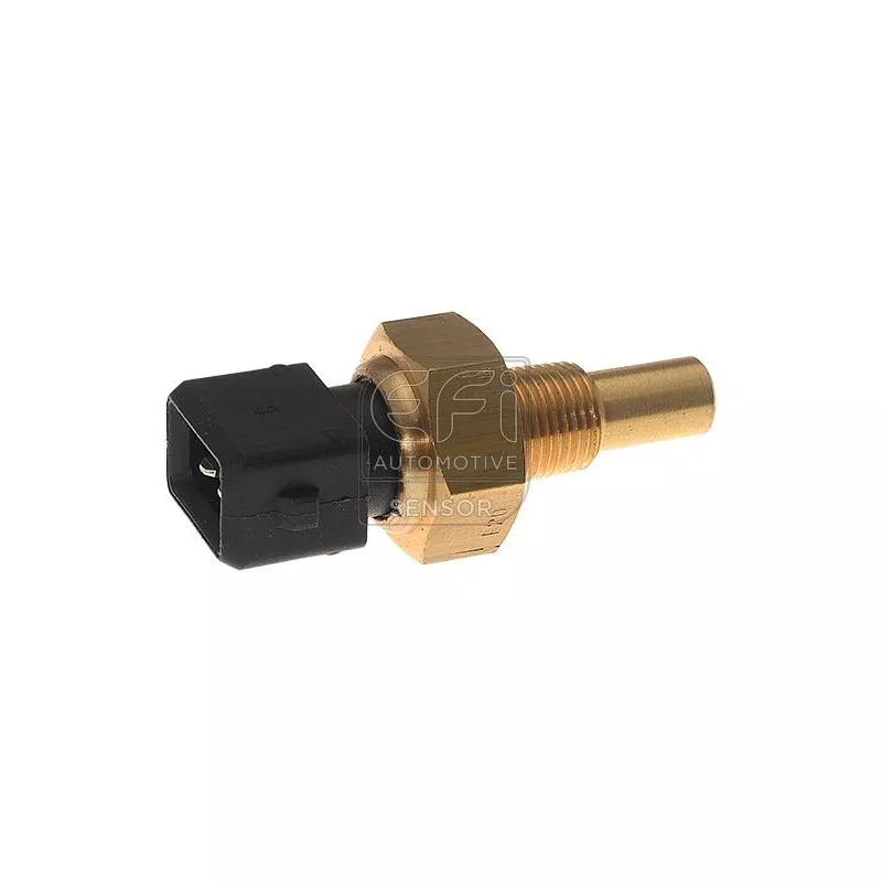 Sonde de température, liquide de refroidissement EFI AUTOMOTIVE 295056