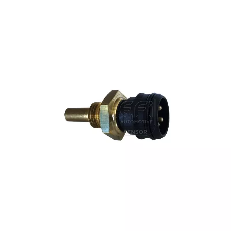 Sonde de température, liquide de refroidissement EFI AUTOMOTIVE 295058