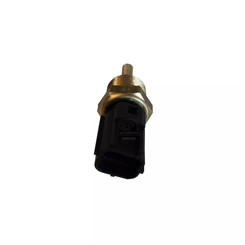 Sonde de température, liquide de refroidissement EFI AUTOMOTIVE 295062