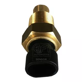 Sonde de température, liquide de refroidissement EFI AUTOMOTIVE 295067